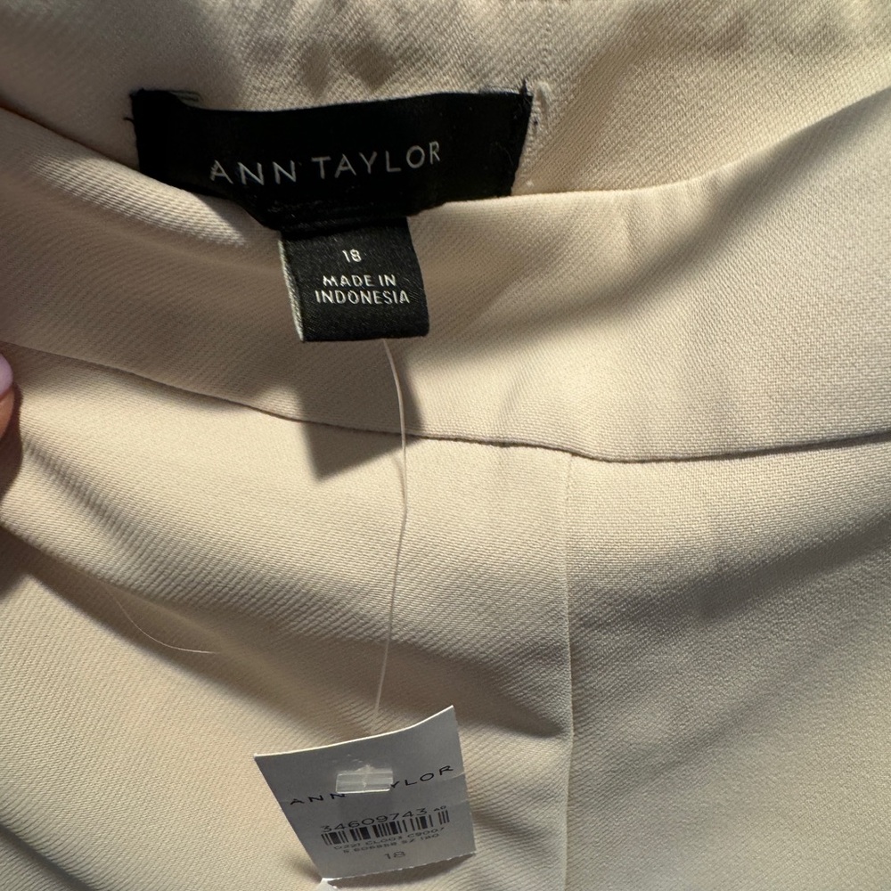 Ann Taylor Cream Skirt